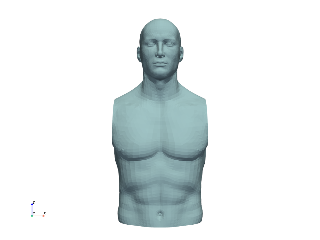 ../../_images/pyvista-examples-downloads-download_torso-c5e3d46115906ead_00_00.png
